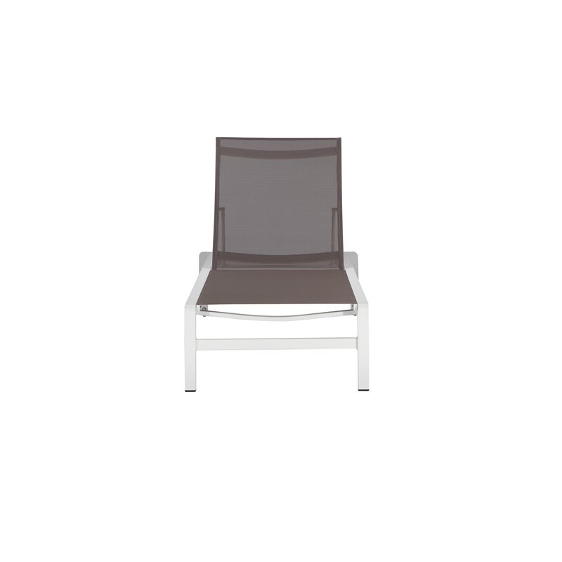 Pangea Home Olly Modern Aluminum Frame Patio Loungers in Gray (Set of 2)