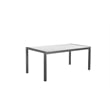 Pangea Home David 71