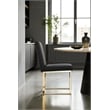 Pangea Home Dexter 18.5