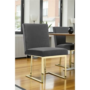Pangea Home Dexter 18.5&quot Velvet & Steel Side Chair in Gray & Gold (Set of 2)
