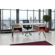 Pangea Home Beverly Large Modern Tempered Glass & Wood Veneer Desk in Walnut