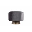 Pangea Home Audrina Swivel Velvet & Metal Lounge Chair in Brass & Gray