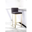 Pangea Home Dexter 30
