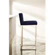 Pangea Home Dexter 30