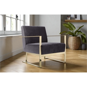 Pangea Home Dexter 17&quot Velvet & High Polished Steel Lounge Chair in Gray/Gold