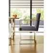 Pangea Home Dexter 18.5