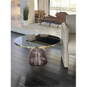 Pangea Home Belinda Modern Glass Coffee Table in Gold and Gray