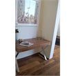 Pangea Home Alexa Modern Wood Veneer & High Polished Steel Desk in Walnut