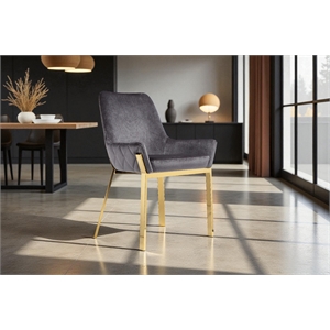 Pangea Home Hudson 19.3&quot Steel & Velvet Tufted Chair in Gray & Gold (Set of 2)