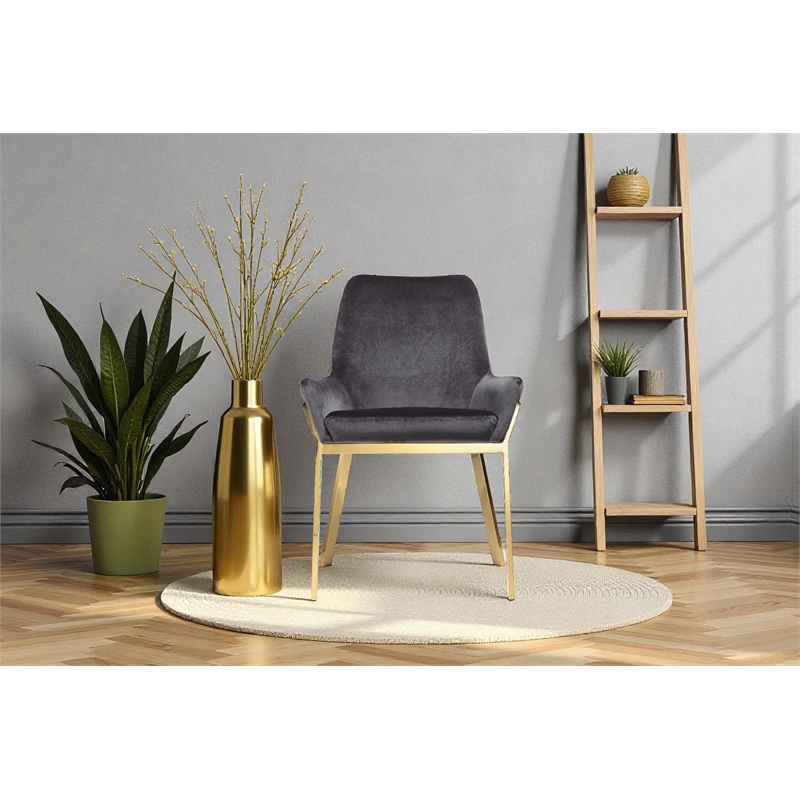 Pangea Home Hudson 19.3