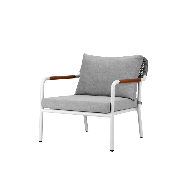 Pangea Home Dean 5-Piece Modern Aluminum Sofa Set in Gray Finish