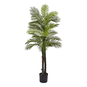 Indoor/Outdoor 66&quot Double Robellini Palm Tree UV Resistant in Green/Black