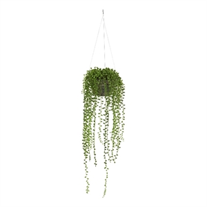 Nearly Natural String of Pearl Artificial Plant Hanging Basket in Green/Brown