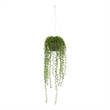 Nearly Natural String of Pearl Artificial Plant Hanging Basket in Green/Brown