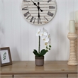 Nearly Natural Bold Phalaenopsis Orchid with Two-Toned Ceramic Pot in White/Tan