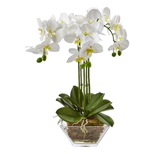 Nearly Natural Triple Phalaenopsis Orchid in Glass Vase in White/Clear