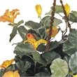 Nearly Natural Nasturtium Silk with Decorative Hanging Basket in Gold/Brown