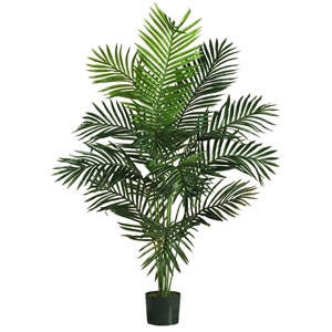 Nearly Natural 60&quot Paradise Palm with Lush Feathery Pinnate Leaves - Green/Black