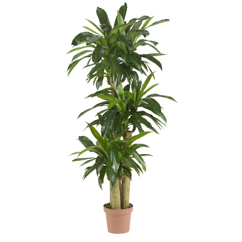 Nearly Natural Corn Stalk Dracaena Silk Plant Real Touch in Green/Brown