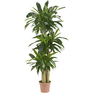 nearly natural corn stalk dracaena silk plant real touch in green/brown