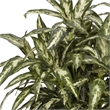 Nearly Natural Aglaonema with Decorative Vase Silk Plant in Green/Brown