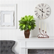 Nearly Natural Dieffenbachia with Decorative Vase Silk Plant in Green/Brown
