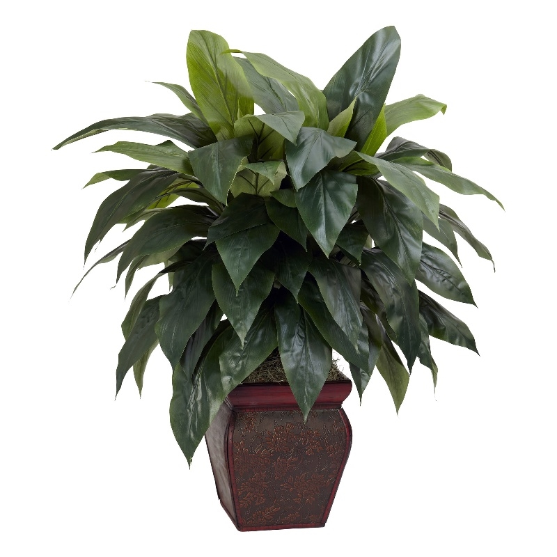 Nearly Natural Cordyline with Decorative Vase Silk Plant in Green/Brown