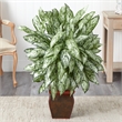 Nearly Natural Silver Queen with Decorative Planter Silk Plant in Green/Brown