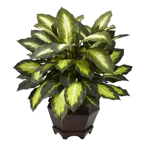 Nearly Natural Triple Golden Dieffenbachia with Wood Vase in Green/Black