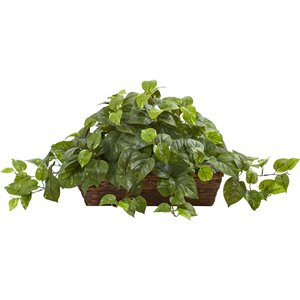 nearly natural pothos plant with beautiful ledge basket in green/brown