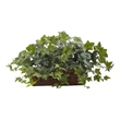 Nearly Natural Puff Ivy Leaves with Ledge Basket in Green/Brown