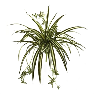 Nearly Natural 23&quot Spider Bush with Striped Light/Dark Green Leaves (Set of 4)