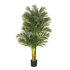 Nearly Natural 72&quot Golden Cane Artificial Palm Tree in Green/Black