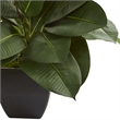 Nearly Natural Oak Ficus Artificial Plant in Green