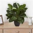 Nearly Natural Oak Ficus Artificial Plant in Green