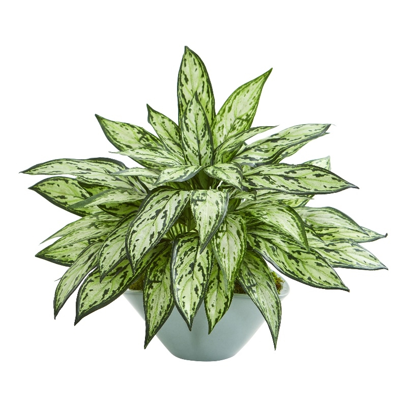Nearly Natural Silver Queen Artificial Plant in Green Vase in Green