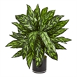Nearly Natural Silver King Artificial Plant in Black Glass Vase in Green