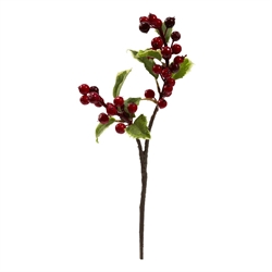 Holiday Decor