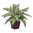 Nearly Natural Silver Queen Silk Plant (Set of 2) in Green