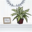 Nearly Natural Silver Queen Silk Plant (Set of 2) in Green