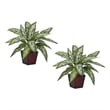 Nearly Natural Silver Queen Silk Plant (Set of 2) in Green