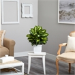 Nearly Natural 2ft Golden Dieffenbachia Artificial Plant in White Metal Planter