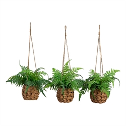Faux Florals / Plants