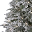 Nearly Natural 7ft Flocked Colorado Mountain Fir Christmas Tree w/700 Warm White