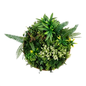 Nearly Natural 20&quot UV Resistant Queensland Rainforest Living Wall Art Panel