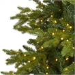 Nearly Natural 10ft Belgium Fir Natural Look Christmas Tree with 1050 Clear LED