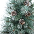 Nearly Natural 3.5ft Frosted Tip BC Mountain Pine Christmas Tree in White