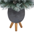 Nearly Natural 3.5ft Frosted Tip BC Mountain Pine Christmas Tree in White
