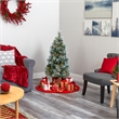 Nearly Natural 4ft Frosted Tip British Columbia Mountain Pine Christmas Tree