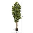Nearly Natural 6ft Oak Artificial Tree UV Resistant (Indoor/Outdoor) in Green